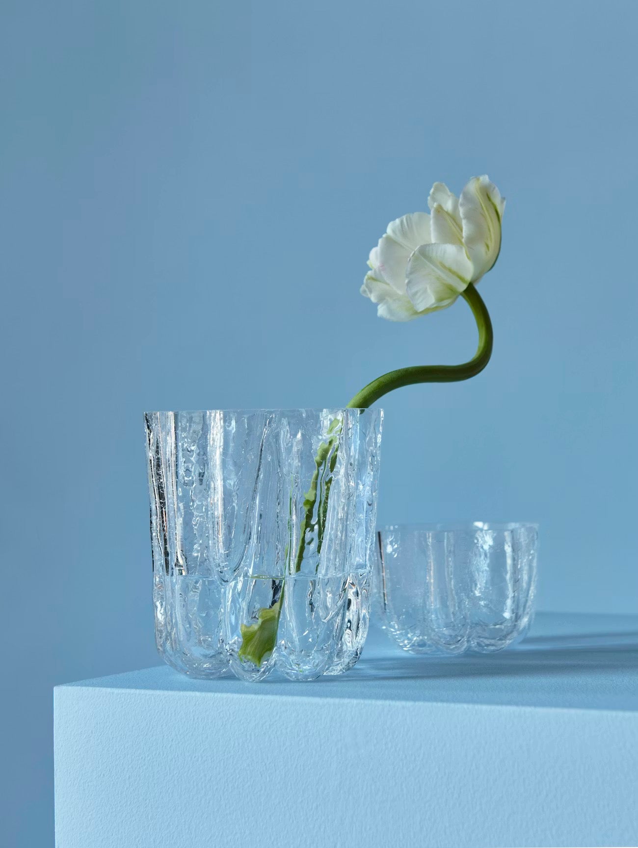 
                  
                    Crackle ljuslykta 58 mm, Clear • Kosta Boda
                  
                